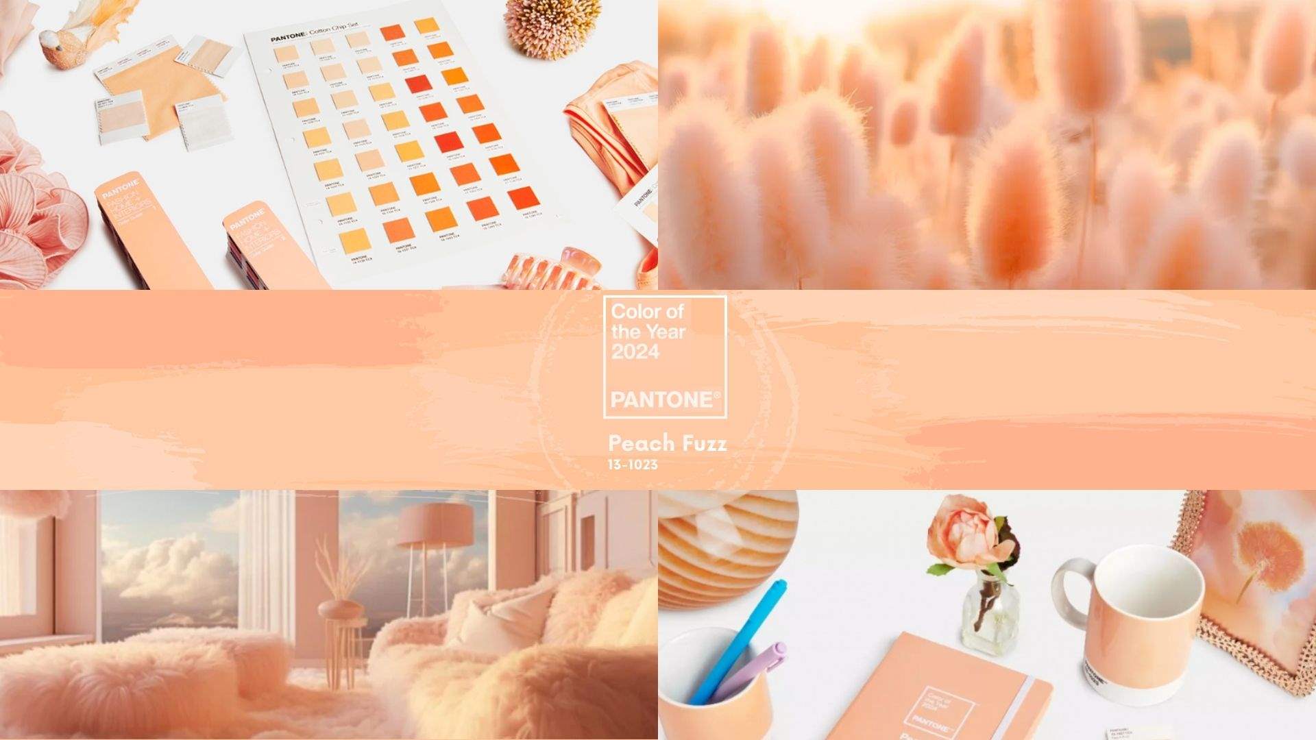 Color of the Year 2024: Peach Fuzz